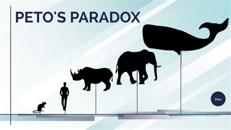 Peto's Paradox by Lazzy on Prezi