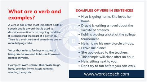 20 Examples of Verb in Sentences - Word Coach