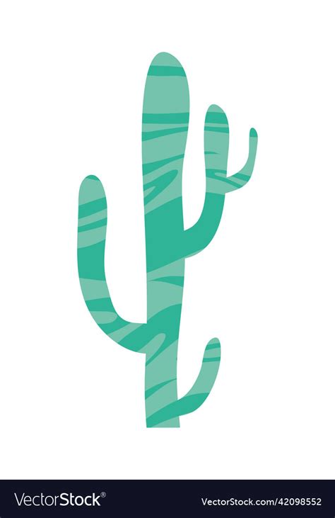 Cactus desert plant Royalty Free Vector Image - VectorStock