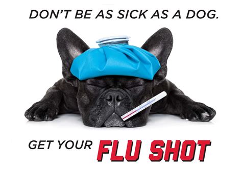 Free flu shots are now available at the Health Center | Announce | University of Nebraska-Lincoln