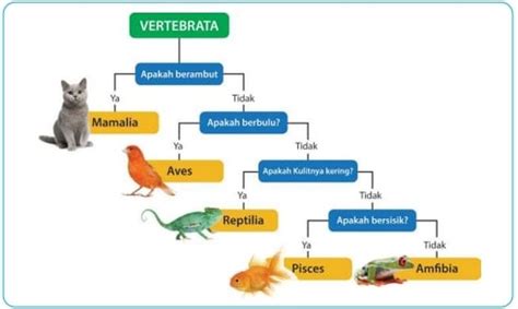 MATERI PAKET B KELAS VII