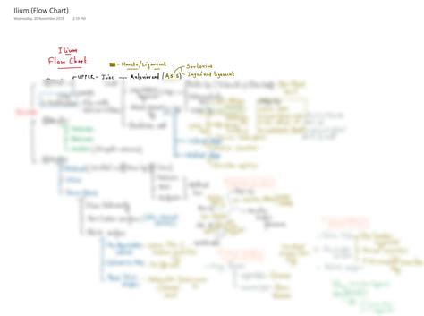 SOLUTION: Ilium Flow Chart: Understanding the Anatomy and Function of ...