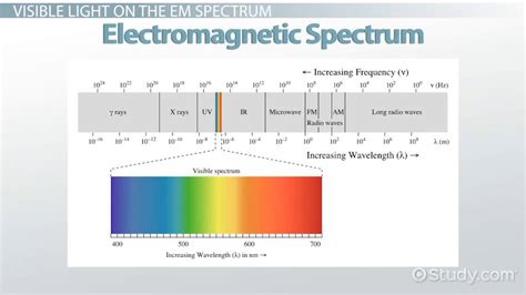 Chapter 8 Waves Sound And Light Worksheet Answers | Shelly Lighting