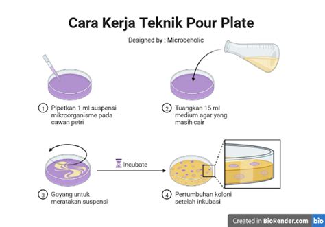 Perbedaan Pour Plate dan Spread Plate - MicrobeHolic