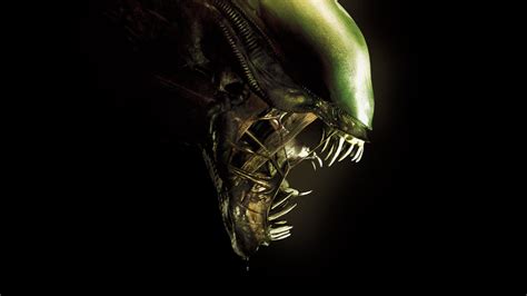 Download Movie Alien HD Wallpaper