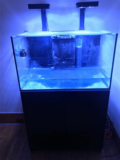 Build Thread - Red Sea reefer 250 deluxe | Reef2Reef