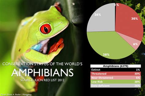 CHART: The world's most endangered amphibians