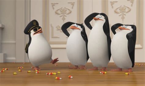 Create meme "the penguins of Madagascar , the penguins of Madagascar ...