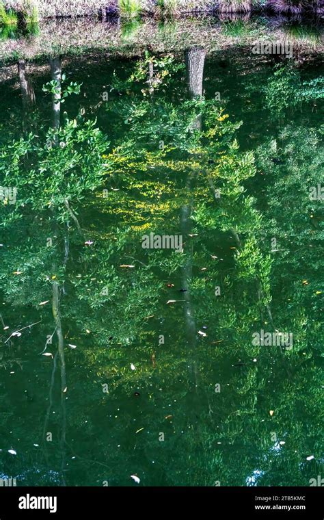 Green Reflection Abstract Autumn Furuichi kofungun Burial Mound ...