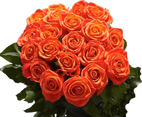 Download Vibrant Orange Roses Bouquet | Wallpapers.com