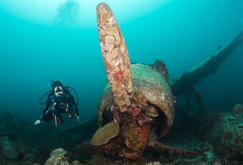 Diving in Palau: The Best Adrenaline Diving In the World - Epic7Travel.com Adventure Travel Blog