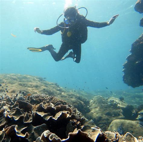 Adventure Scuba Diving Bali - Bali.com