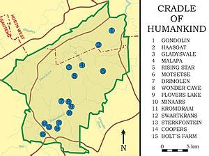 Cradle of Humankind Facts for Kids