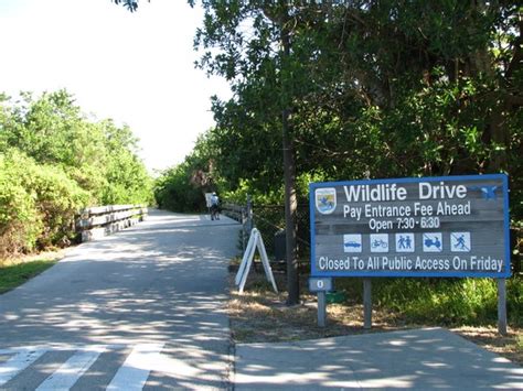 Visiting Sanibel's Ding Darling Wildlife Refuge with BeachHunter.