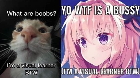 I'm A Visual Learner BTW | Know Your Meme