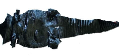 Crocodile Leather | Roje Exotic Leather