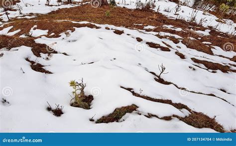 Snowfall at Patnitop stock photo. Image of decoration - 207134704