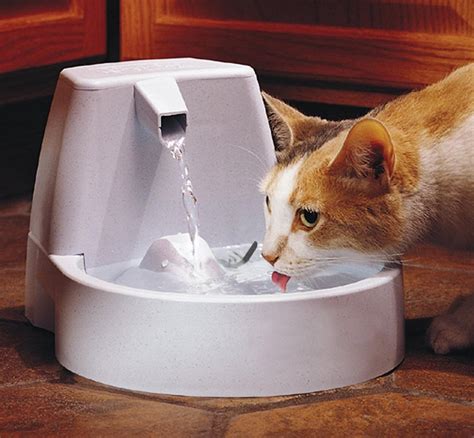 How To Make A Cat Water Fountain | Fountain Design Ideas