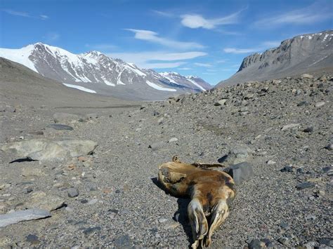 McMurdo Dry Valleys - Alchetron, The Free Social Encyclopedia