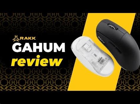 top cheap Best gaming mouse. RAKK gahum trimode wireless mice( latest sensor.) - YouTube