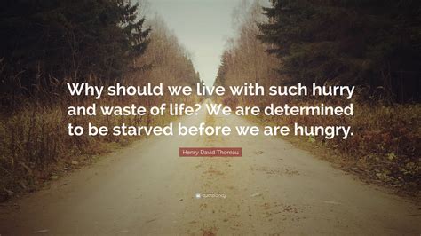 Henry David Thoreau Quote: “Why should we live with such hurry and waste of life? We are ...