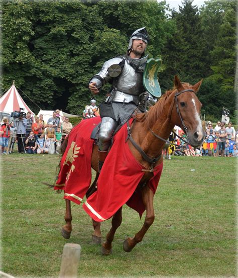 Knight Show, Set 2.16 Free Stock Photo - Public Domain Pictures