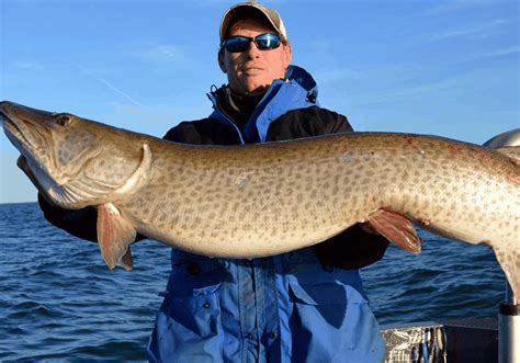 Muskie vs Pike: Identification of Scale, Tail, and Jaw - USAngler