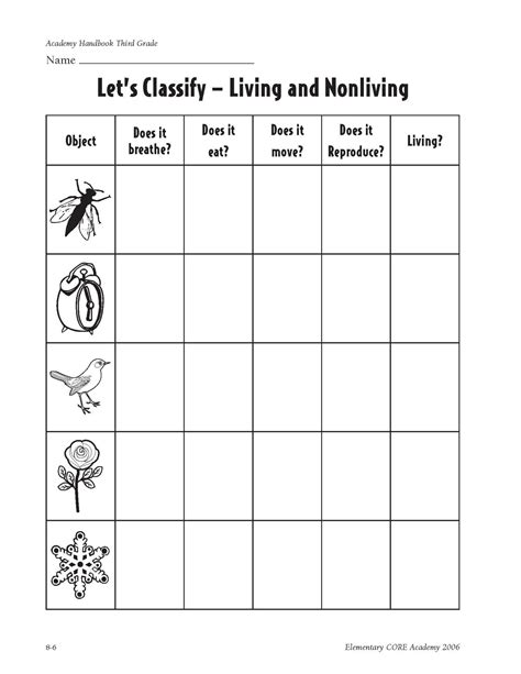 Living And Non Living Worksheet