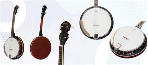 Banjo Evolution - 8 Types of Banjos and Their Unique Sounds – Muzikkon