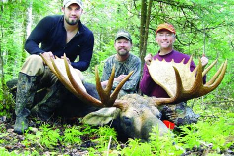 Minnesota moose hunt is history - Duluth News Tribune | News, weather, and sports from Duluth ...