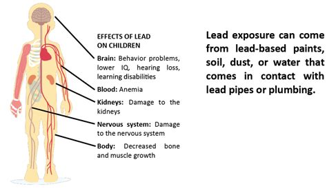 LEARN ABOUT THE RISKS OF LEAD - PVWC