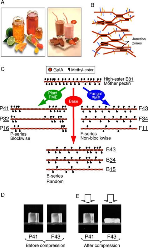 Structure function relationships of pectin gels. (A) Citrus fruits are ...