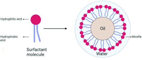 | Schematic representation of surfactant and its behavior at the... | Download Scientific Diagram