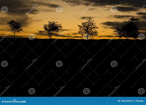 Colorful Sunset with Tree Silhouette Stock Photo - Image of scenery, cloudscape: 136139312