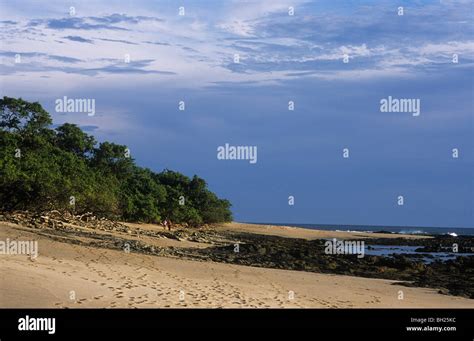 Playa Langosta, Tamarindo, Costa Rica Stock Photo - Alamy