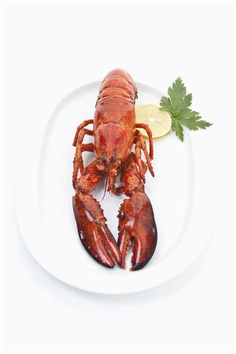 Cooked lobster in plate on white background stock photo