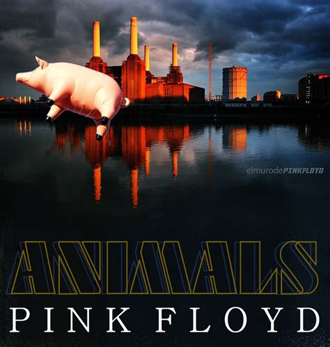 Pink Floyd Animals Album Covers