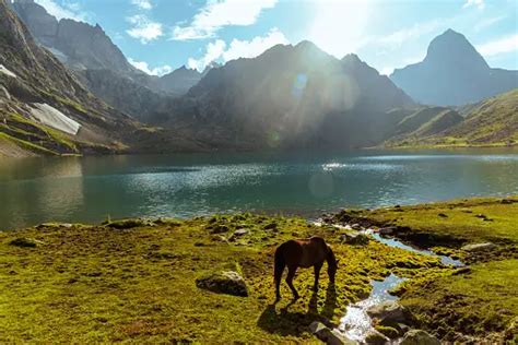 Kashmir Valley Pictures | Download Free Images on Unsplash