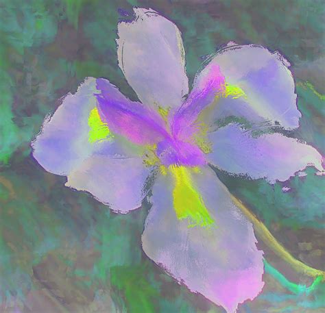 Watercolor Iris Free Stock Photo - Public Domain Pictures