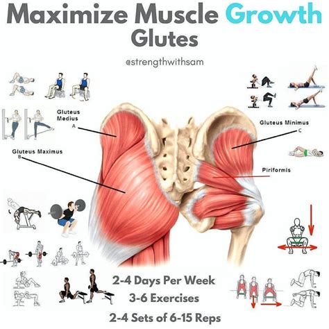 Maximisze Muscle Growth for your Plz like and Follow @body_fitness_education credit ...