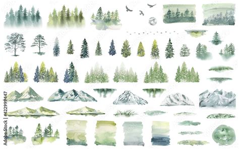 Watercolor Forest tree illustration. Mountain landscape. Woodland pine trees. Green Forest ...