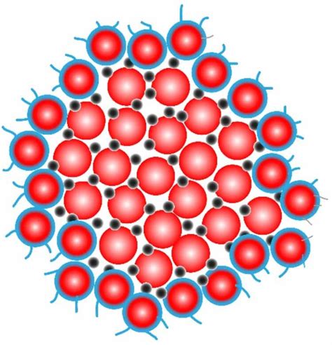 Schematic representation of the casein micelle structure. αS1-, αS2 ...