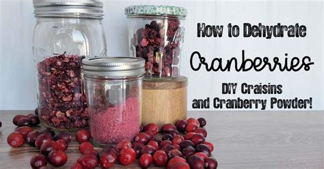 How to Dehydrate Cranberries and DIY Craisins - The Purposeful Pantry