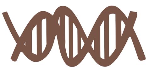 SVG > dna double analysis rna - Free SVG Image & Icon. | SVG Silh