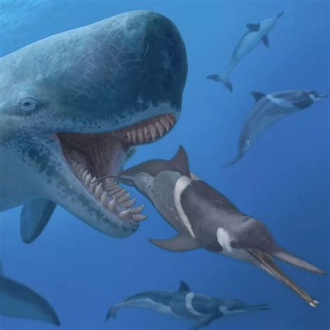 The Killer Sperm Whale That Rivalled the Megalodon (Video) | Next.js Blog Example with WordPress