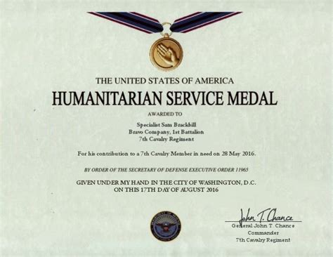 humanitarian service medal army - Fit Perfectly Webzine Photo Exhibition