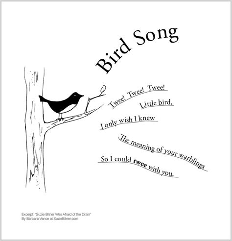 Bird Song | Suzie Bitner Was Afraid of the Drain