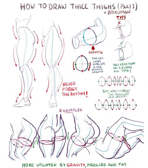 Thighs tutorial 1 by bokuman on DeviantArt | Drawing tips, Anatomy reference, Figure drawing ...