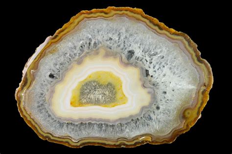 7.1" Polished Brazilian Agate Slice (#137662) For Sale - FossilEra.com