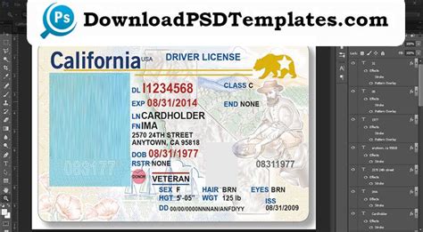 California driver s license editable psd template download - lasopaiam